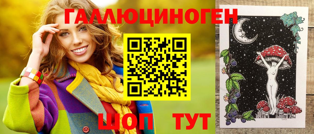 Галлюциногенные грибы Psilocybe  Вход с VPN  Хабаровск 